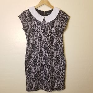 Trafaluc Zara collared lace dress